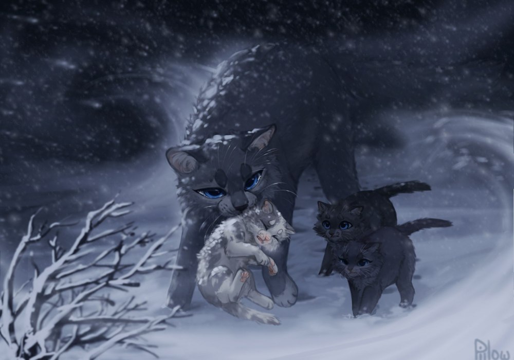 GRAYPILLOW коты Воители