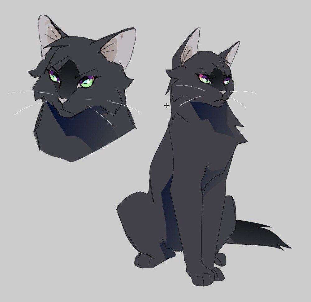 GRAYPILLOW коты Воители