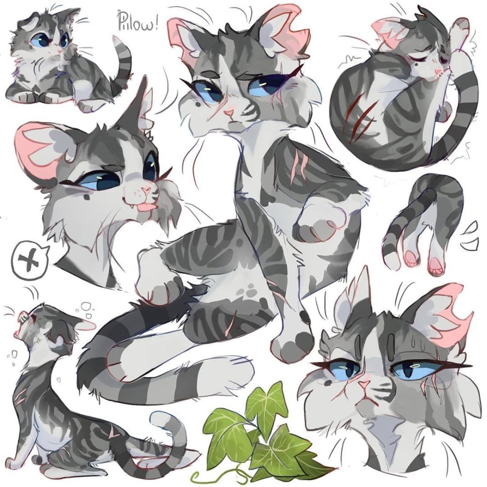 GRAYPILLOW коты Воители