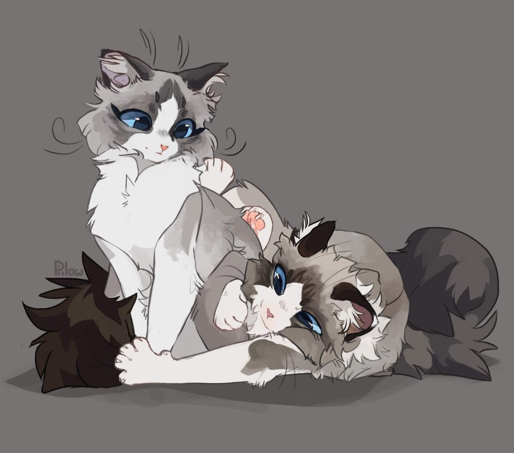 GRAYPILLOW коты Воители