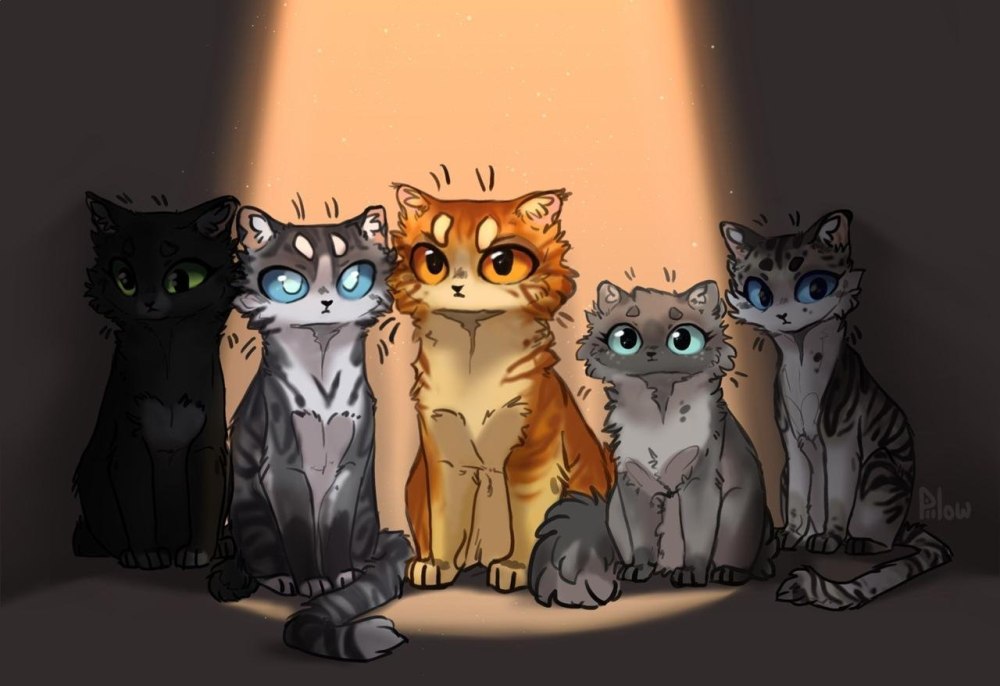 Коты Воители сол и Кленовница