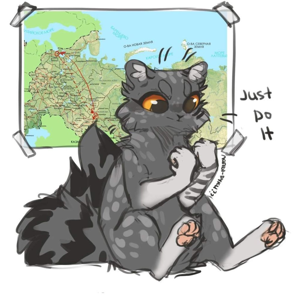 GRAYPILLOW коты Воители