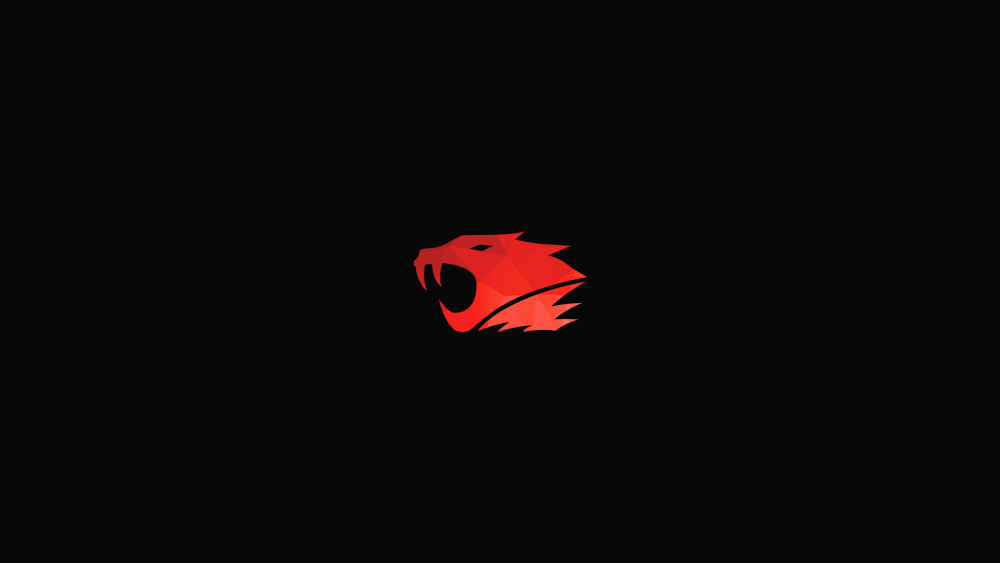 IBUYPOWER CS go