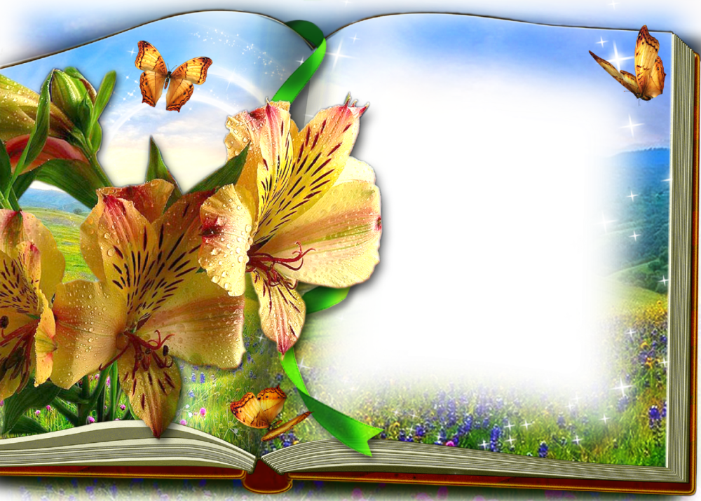 Рамка книги