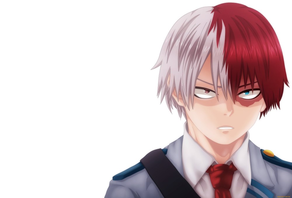 Shoto Todoroki боевой