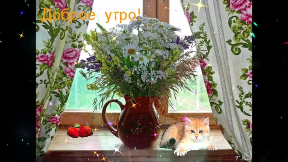 Букет полевых цветов и земляники