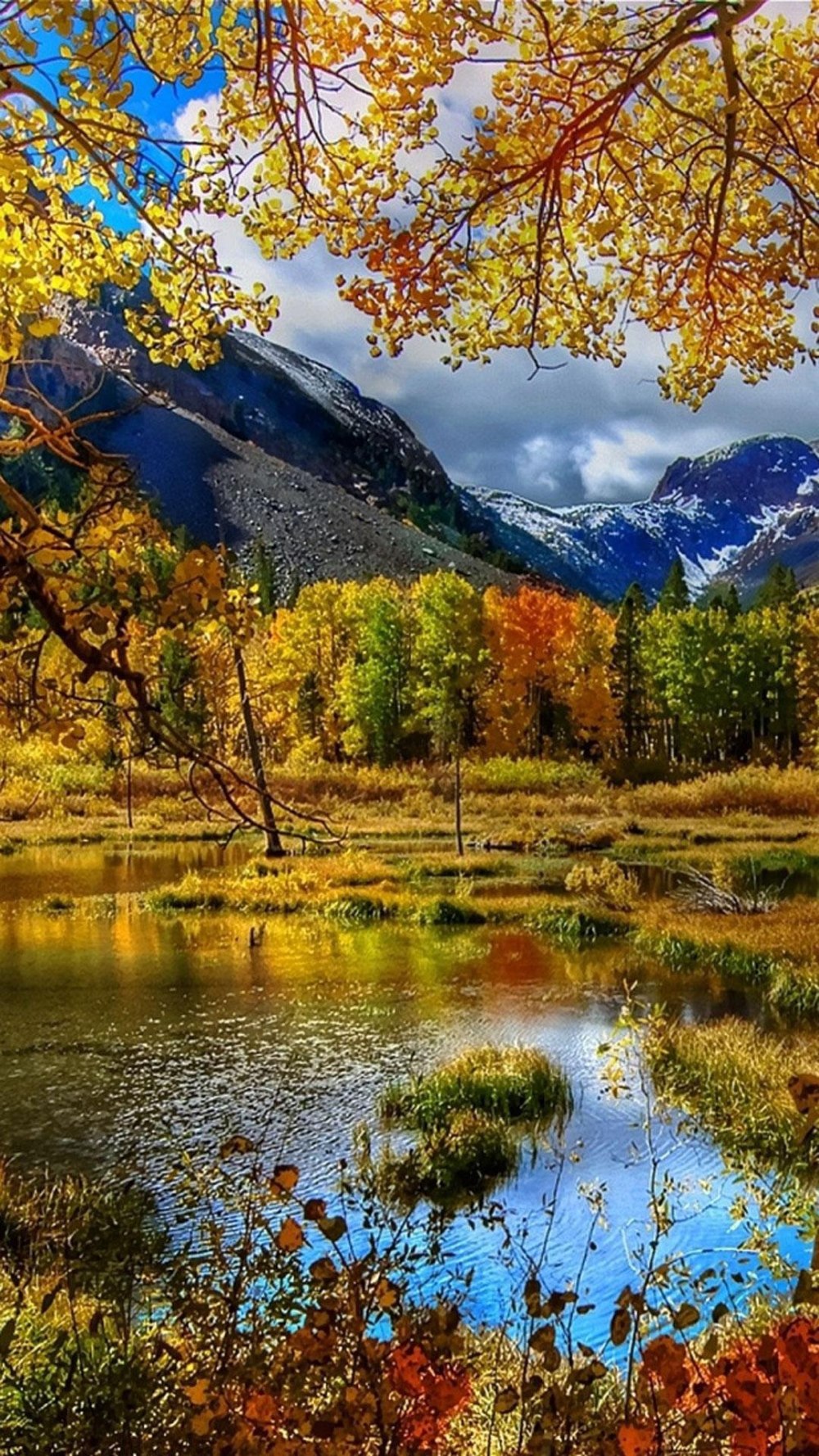 Осенний лес