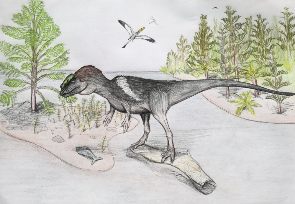 Dilophosaurus wetherilli