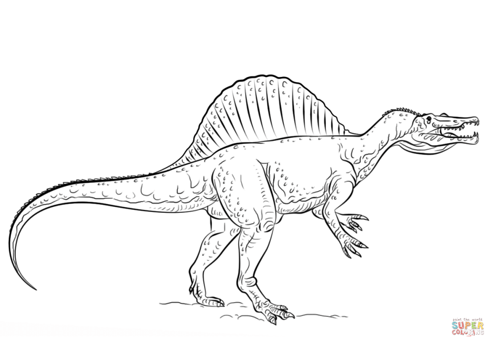 An appendage Dragon