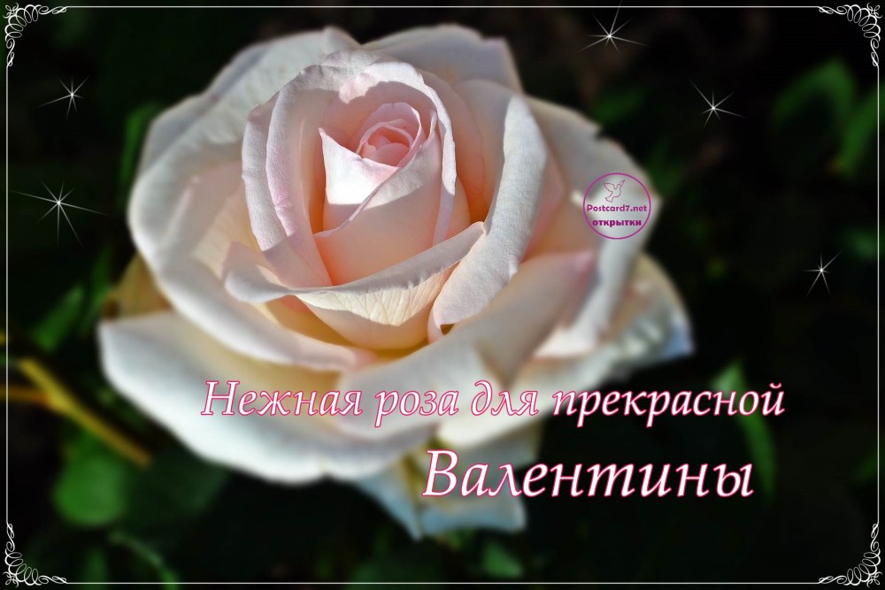 Валентина с днём рождения поздравления