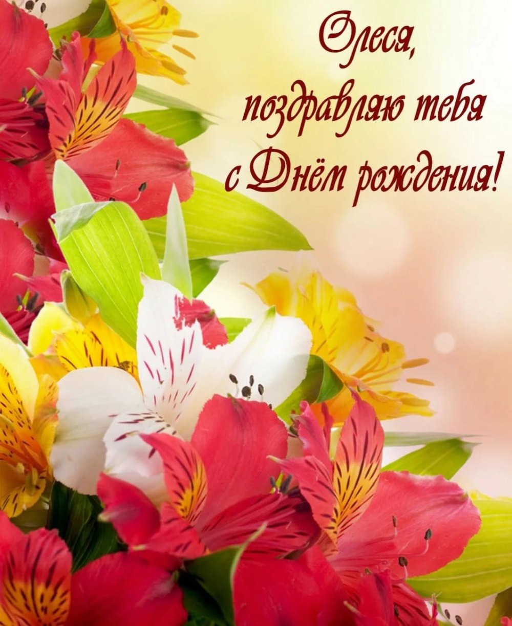 Нежные розы