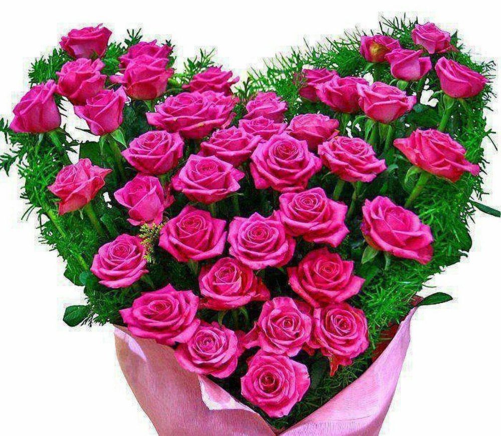Самые красивые цветы для любимой