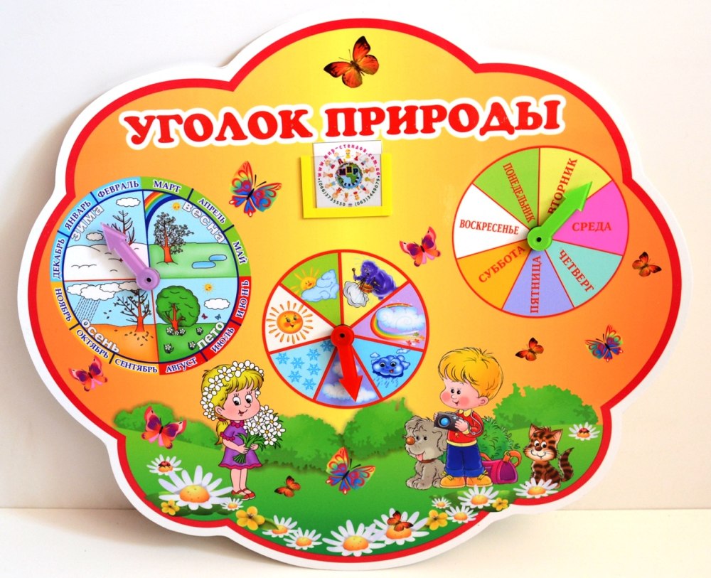Стенд "уголок природы"