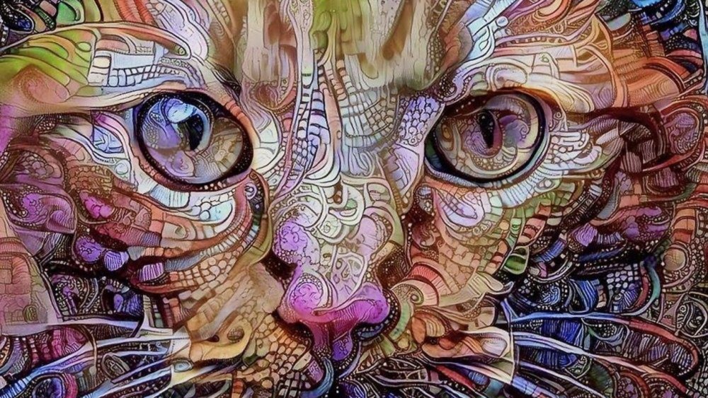 Цветы психоделика