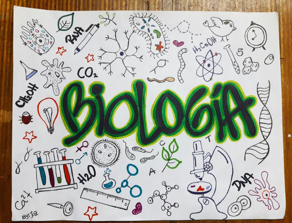 Task de Gametosis Biologia