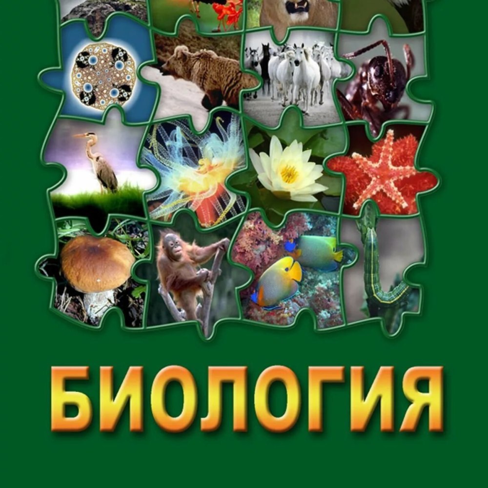 Биология открытка