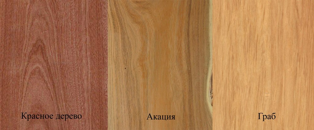 Граб срез дерева