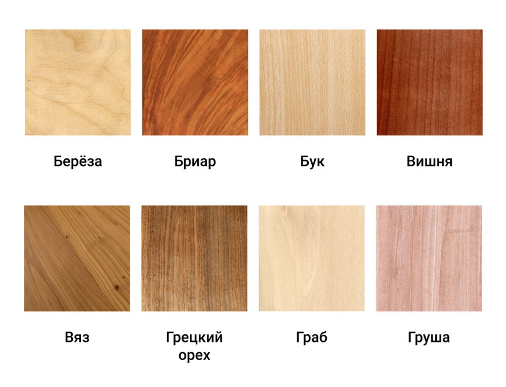Срез дерева текстура