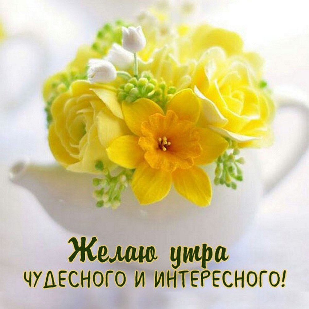Утренние цветы