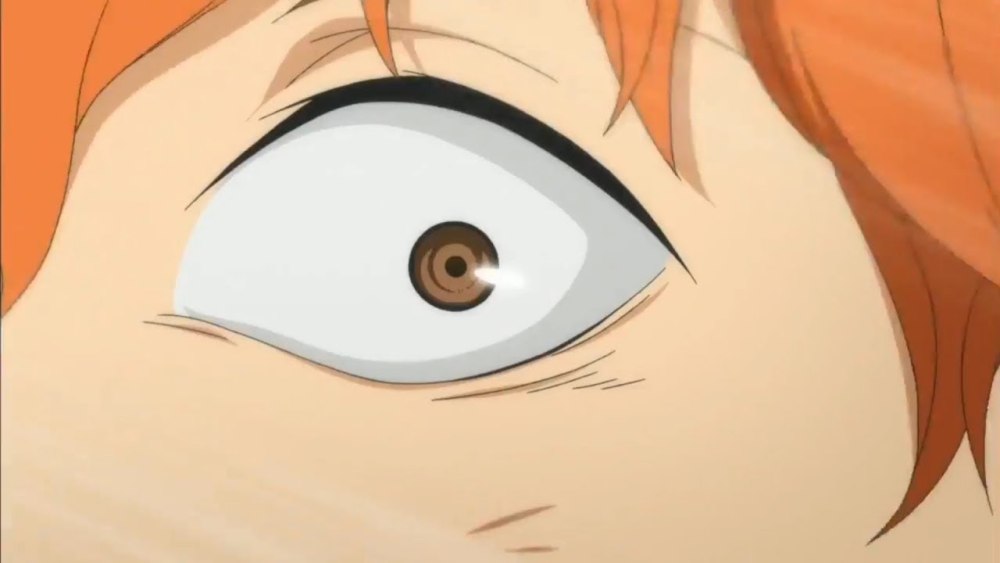 Hinata Shoyo Haikyuu