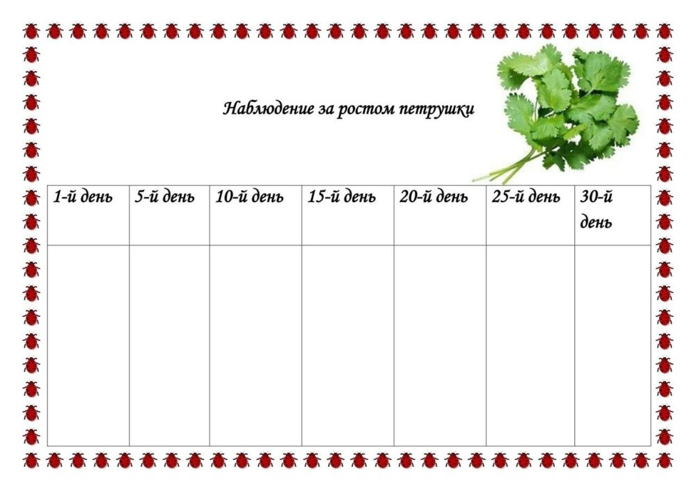 Математика для дошкольников карточки