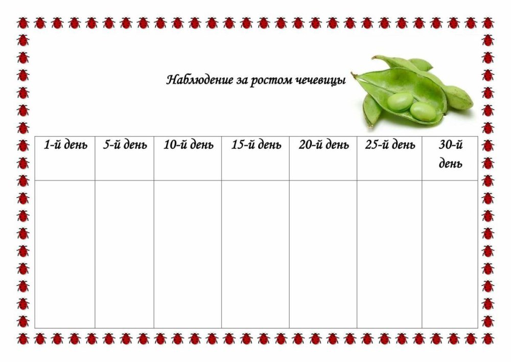 План расстановки столов на банкет