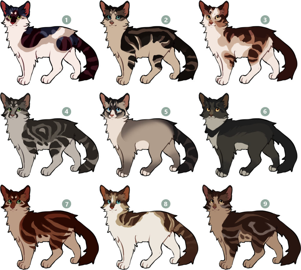 Коты Воители ОС адопты