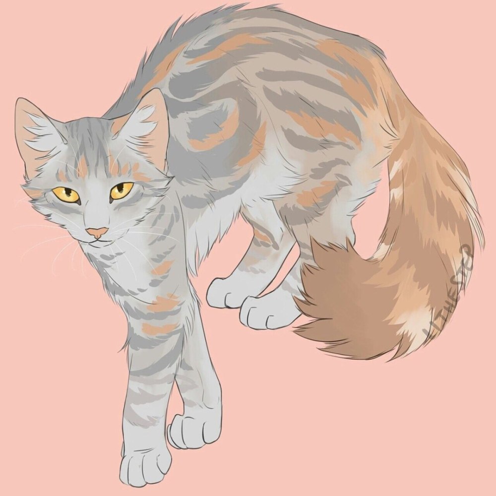 Коты Воители персонажи
