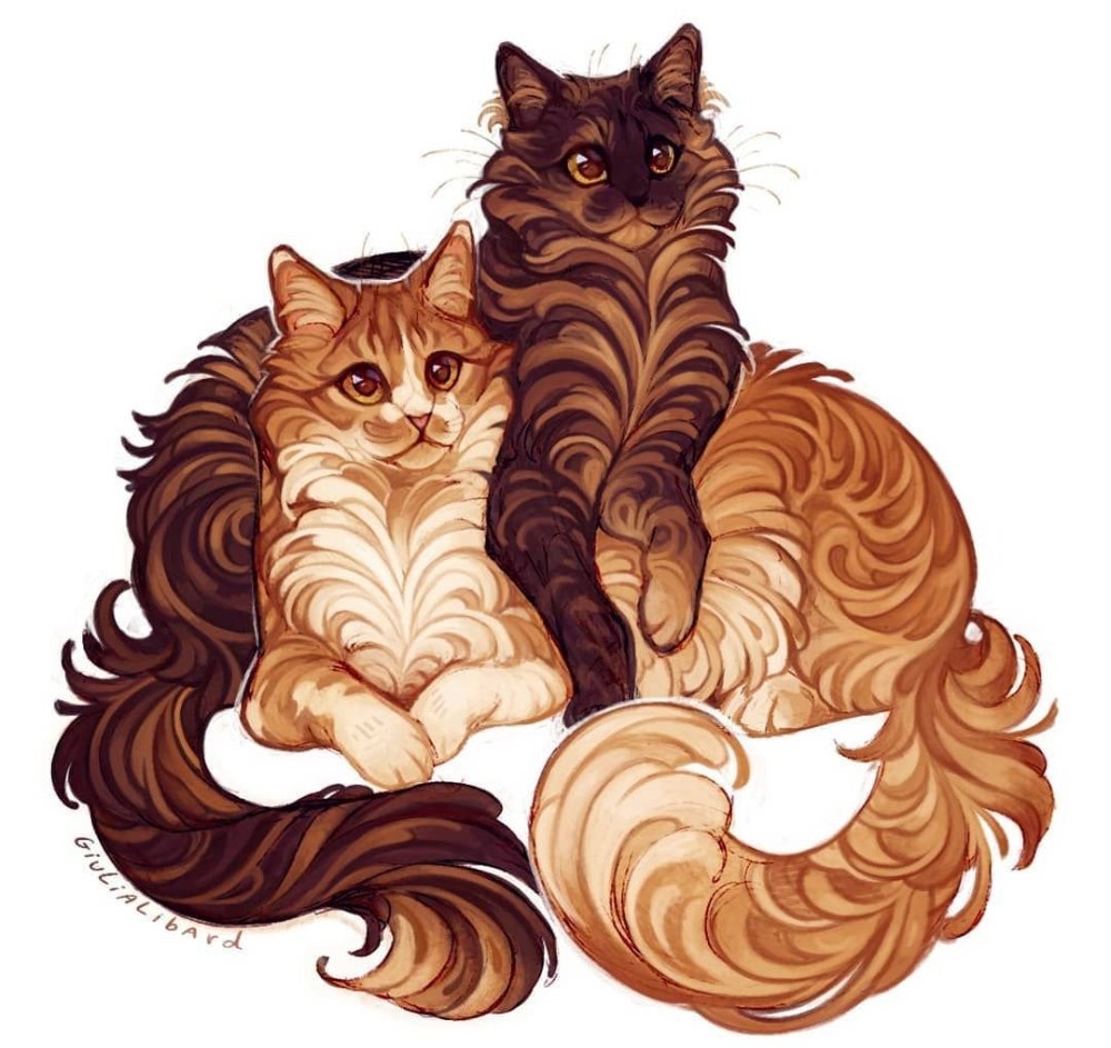 Коты Воители окрасы Калико