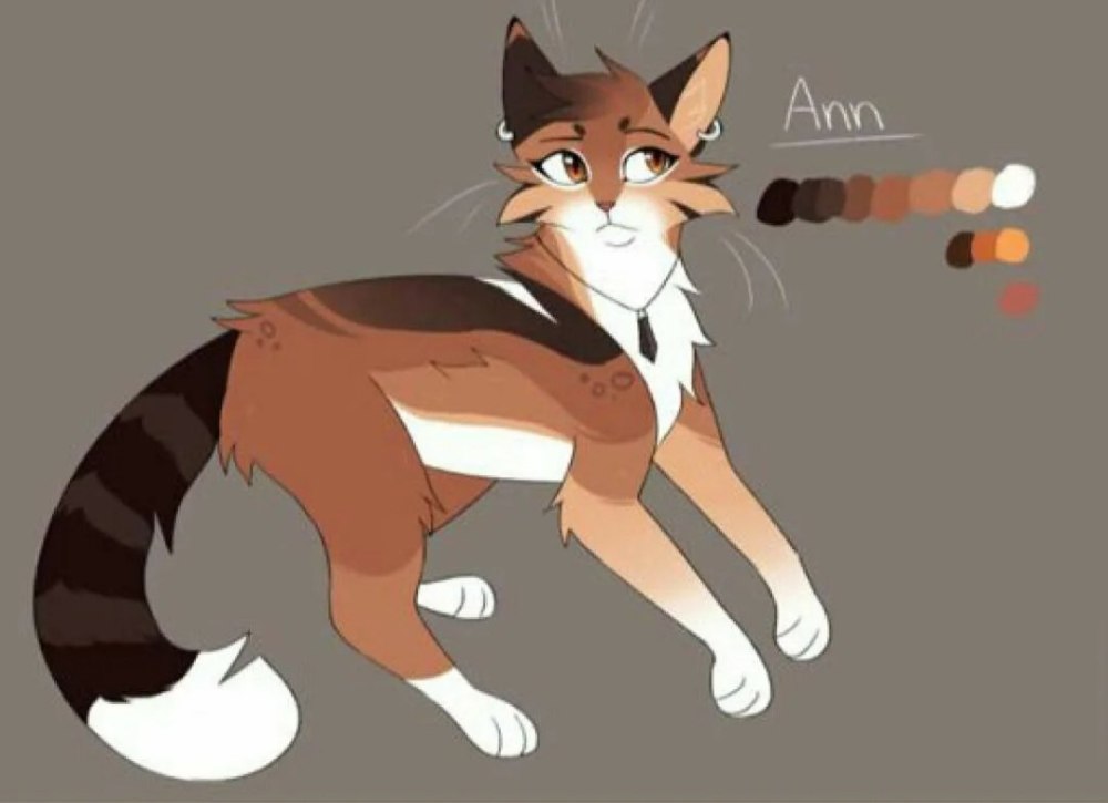 Коты Воители ОС референс