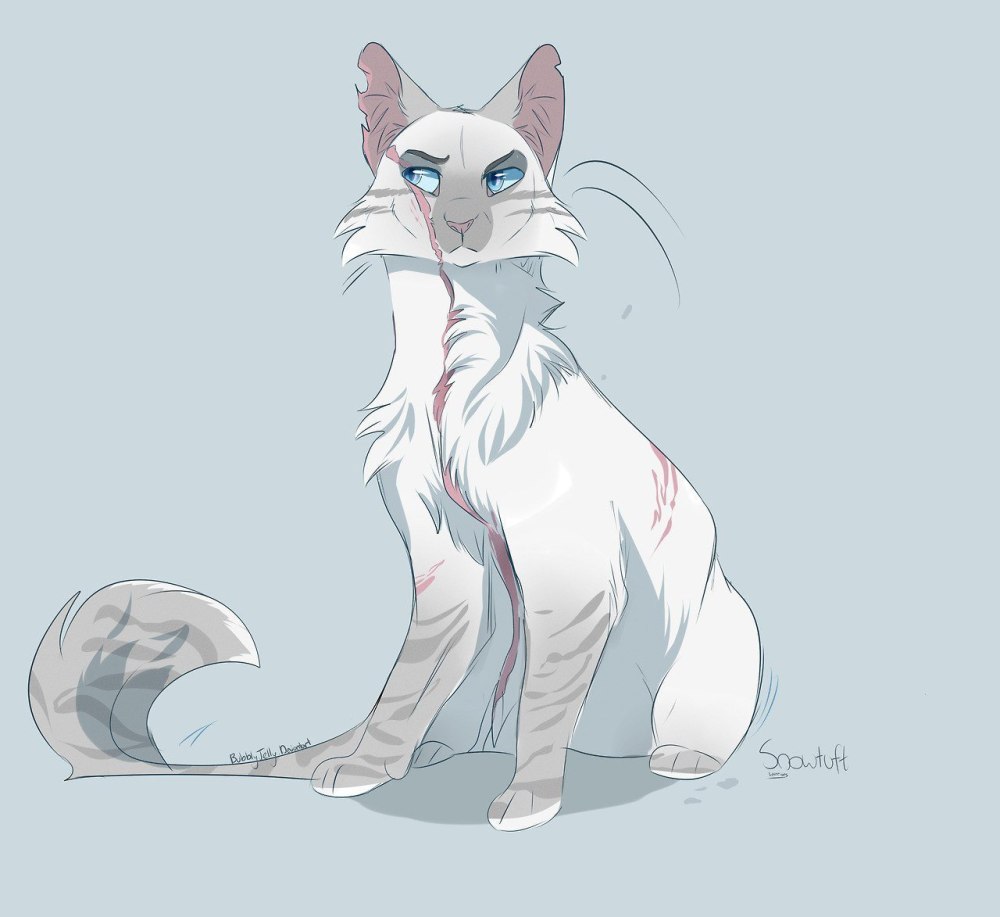 Коты Воители ОС референс