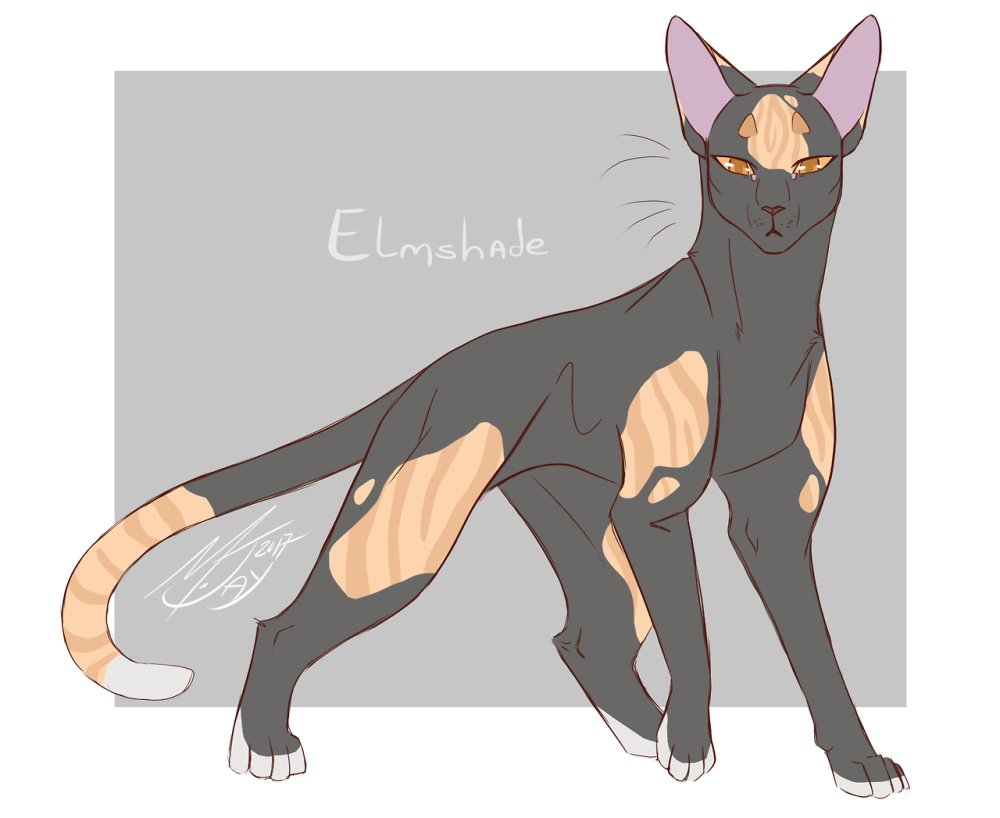 Lilyheart коты Воители