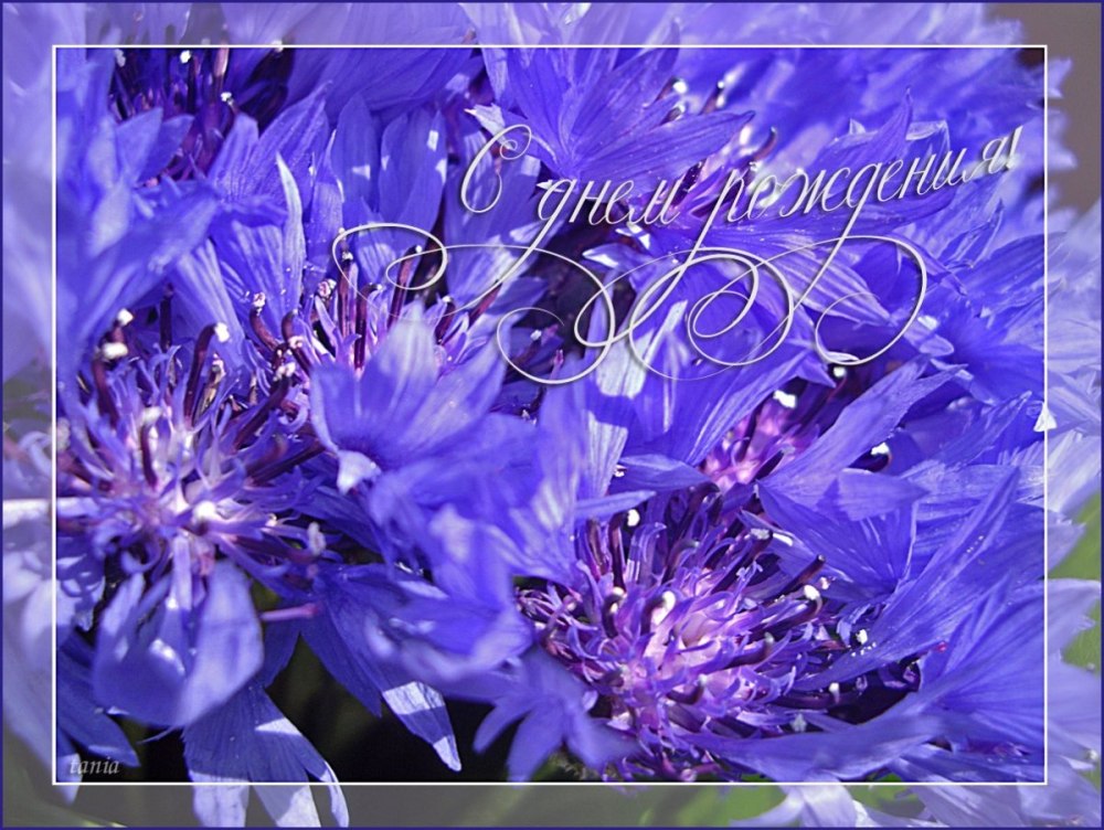 С днем рождения