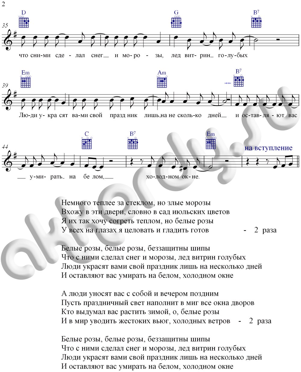 Песня белые розы текст песни