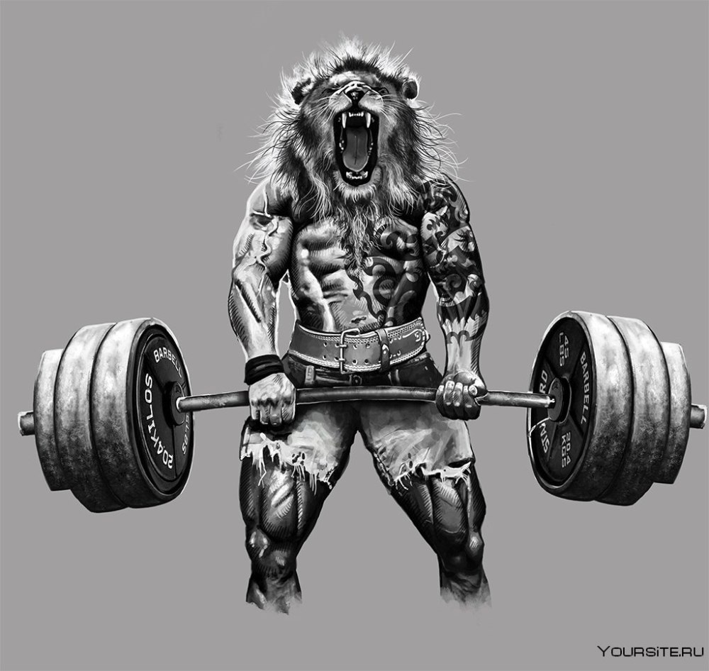 Братец Медвежонок muscle furry