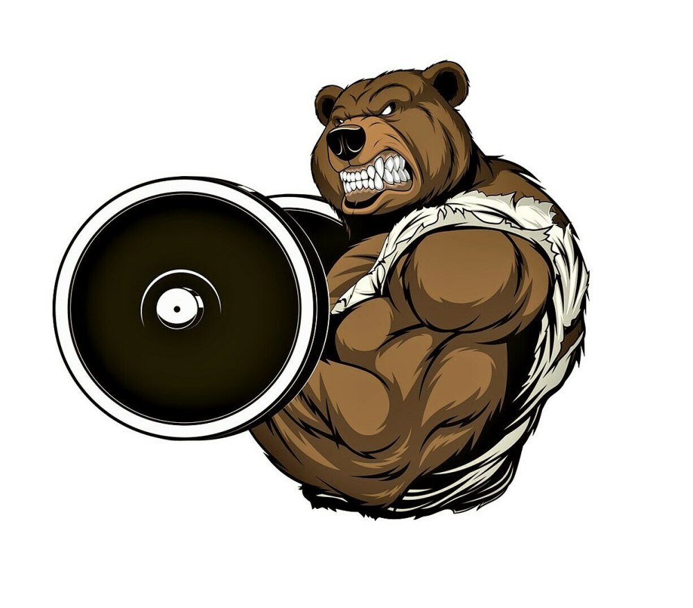 Медведь muscle growth