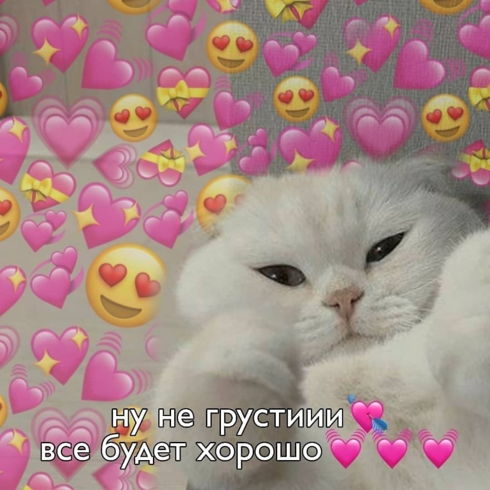 Милые котики с сердечками