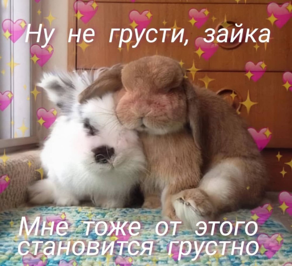 Милые картиночки не грусти
