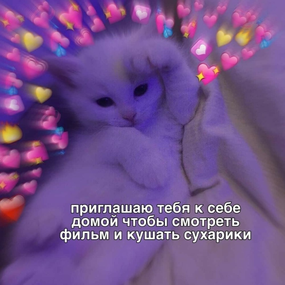 Милые пикчи с надписями