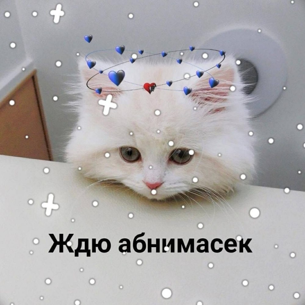 Жду обнимашек