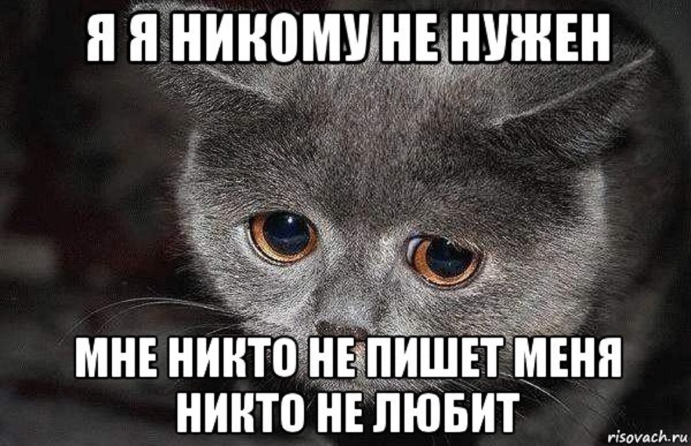 Котики с милыми надписями и сердечками