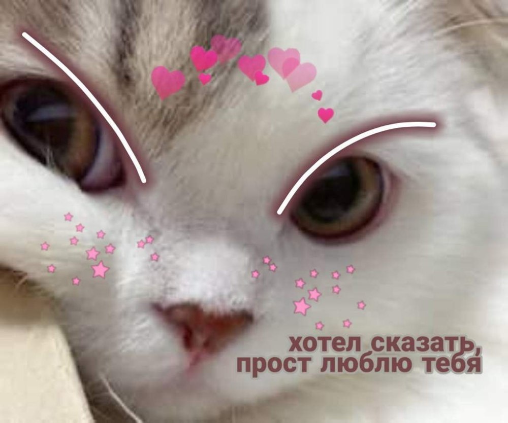 Милые пикчи люблю тебя
