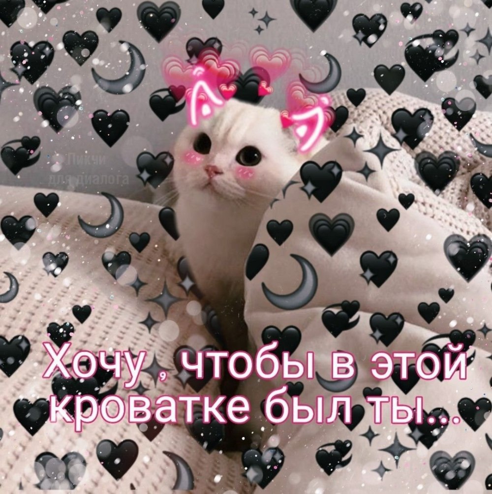 Милые котики с сердечками