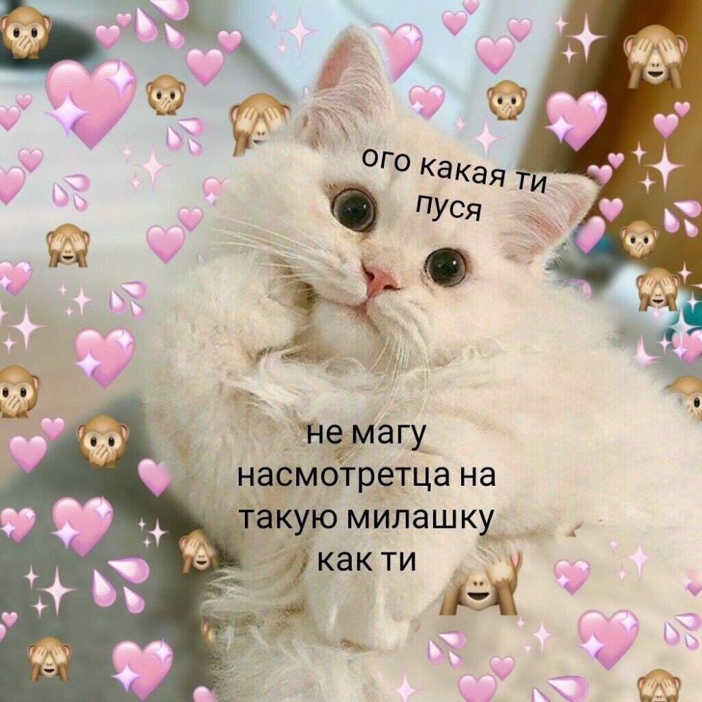 Я тебя люблю Хеллоу Китти