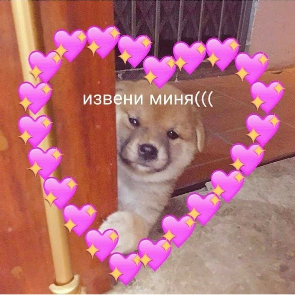Котики с сердечками и надписями