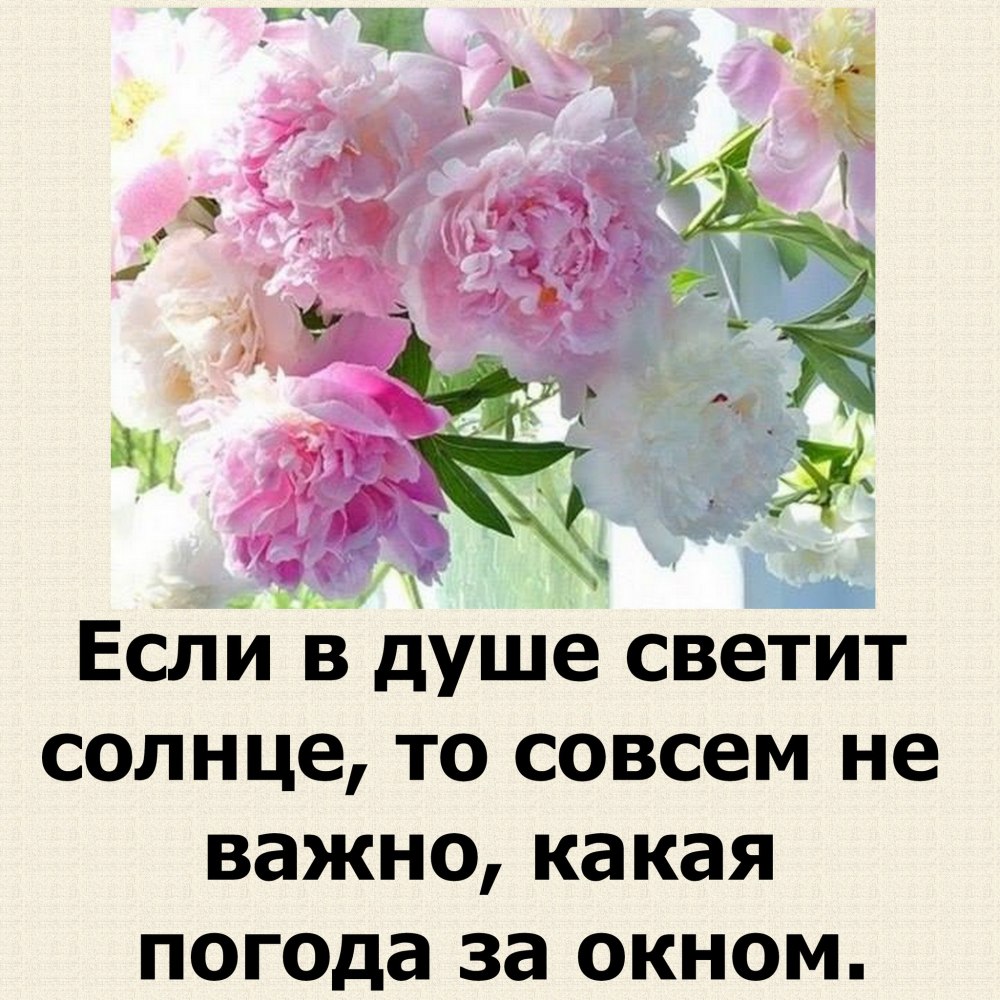 Утро букет пионов