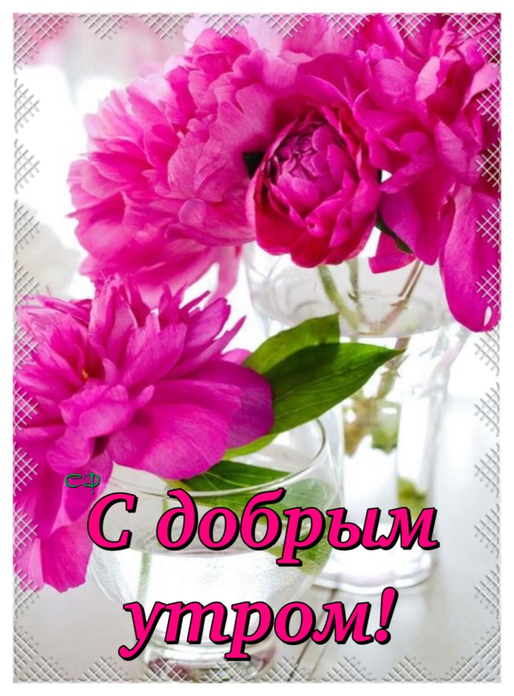 Завтрак с цветами