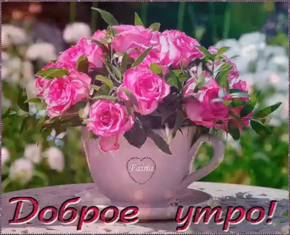 Светлого дня