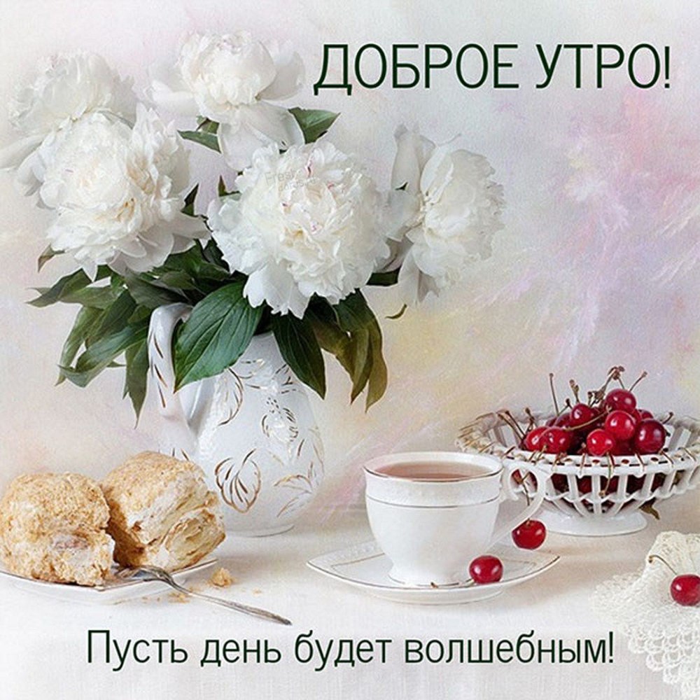 Прекрасного вечера пионы