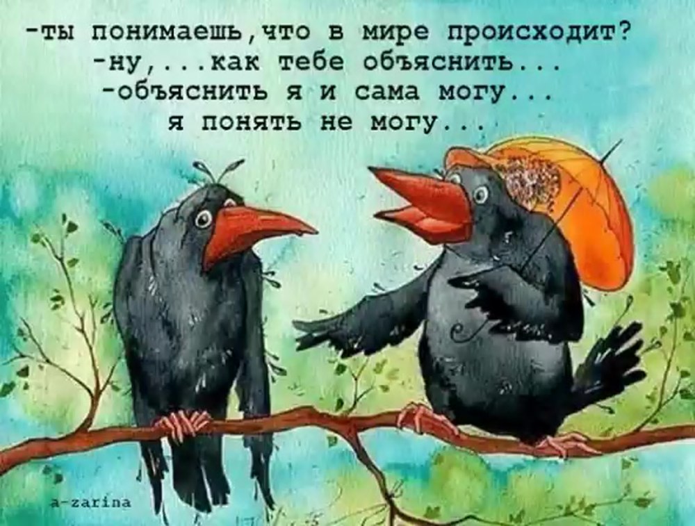 Ворон с розой в клюве